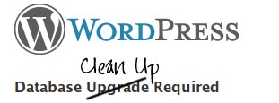 WordPress Clean Up